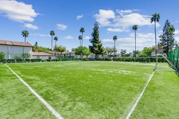 Soccer field view