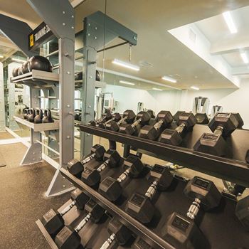 Weightlifting equipments in gym