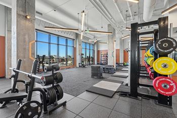 Gym with free weights and treadmills