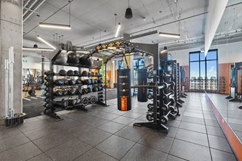 Gym with training equipments