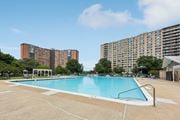 Alexandria apartment for rent - A swimming pool in a sunny day surrounded by buildings.