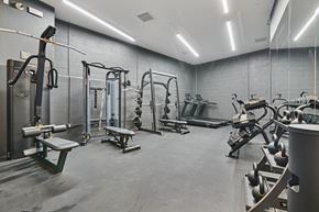 Los Angeles apartment for rent - A gym with a variety of equipment including treadmills, weights, and benches.