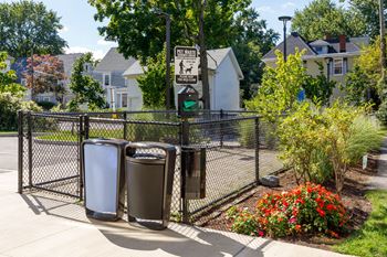Dog relief area