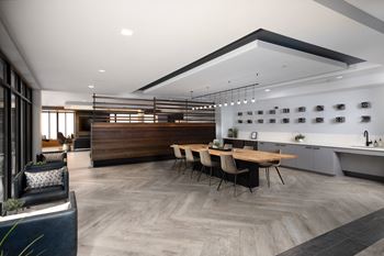 Modern entertaining kitchen