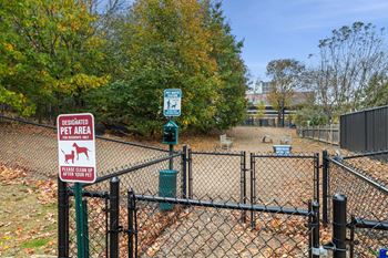 Dog park
