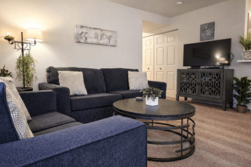 Sinking Spring apartment for rent - A living room with a grey couch and a blue ottoman.