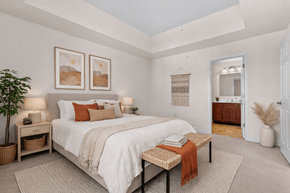 Harrisburg apartment for rent - Primary Bedroom  at Reserve at Manada Hill