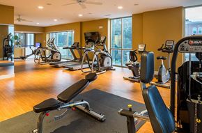 Gaithersburg apartment for rent - A gym with a variety of equipment including treadmills, stationary bikes, and weight machines.