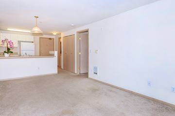 Seattle apartment for rent - A kitchen with a sink, a refrigerator, and a counter with a vase of flowers on it.