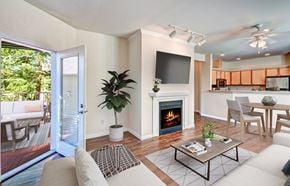 Bothell apartment for rent - A living room with a fireplace and a television.
