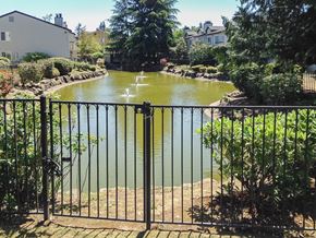 Kent apartment for rent - A fenced garden with a pond and water fountains.