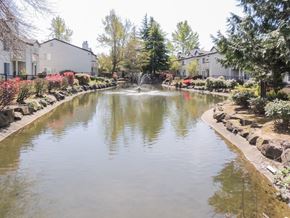 Kent apartment for rent - A serene pond in a residential area surrounded by houses and trees.