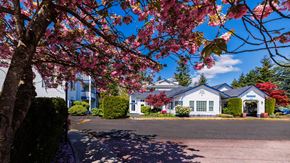 Seattle apartment for rent - A house with a blue roof and white walls is surrounded by green bushes and trees with pink flowers.