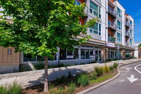 Seattle apartment for rent - A tree in front of a building with a no parking sign.