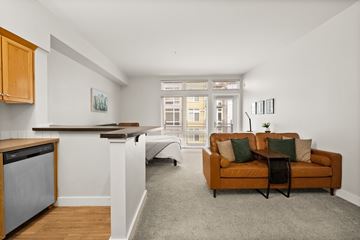 Tacoma apartment for rent - A living room with a brown couch and a grey rug.