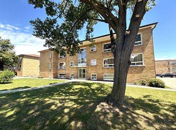 Oakville apartment for rent - A tree stands in front of a brick building on a sunny day.