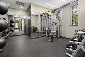 Chicago apartment for rent - a spacious fitness center with weights machines and mirrors