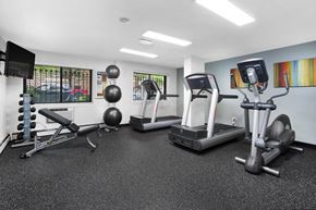 Chicago apartment for rent - a gym with treadmills and other exercise equipment in a building