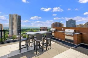Chicago apartment for rent - Rooftop at Park Lincoln with Table and Chairs, Grill and View of the Lake