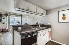 Dallas apartment for rent - A kitchen with a black dishwasher and white cabinets.