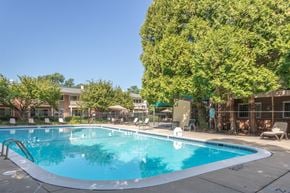 Rockville apartment for rent - A swimming pool surrounded by trees and chairs.