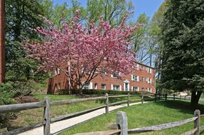 Silver Spring apartment for rent - A tree with pink flowers in front of a brick building.