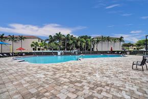 Miami apartment for rent - Community pool surrounded by palm trees and a clear blue sky.