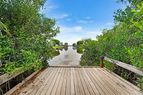 Merritt Island apartment for rent - A wooden walkway leads through a mangrove forest to a body of water.