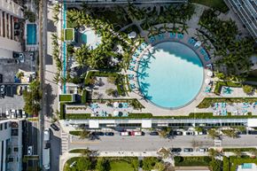 Miami apartment for rent - An aerial view of a pool surrounded by palm trees and lounge chairs.