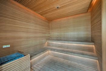 Spa sauna