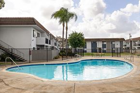 El Cajon apartment for rent - A swimming pool in a residential area with houses and palm trees.