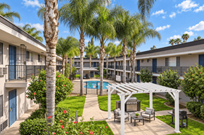 El Cajon apartment for rent - A pool surrounded by palm trees and a white pergola.