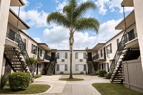 El Cajon apartment for rent - A palm tree stands in the middle of a courtyard surrounded by apartment buildings.