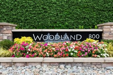 Olympia apartment for rent - Woodland