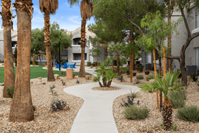 Las Vegas apartment for rent - A pathway surrounded by palm trees and shrubs.