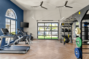 Las Vegas apartment for rent - A gym with treadmills, weights, and exercise equipment.