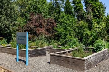 Community garden