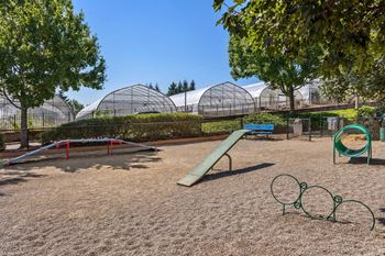 Bark park