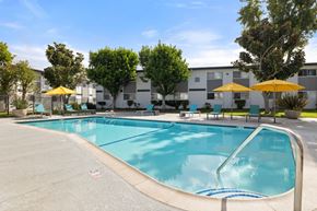 El Cajon apartment for rent - A swimming pool surrounded by trees and chairs with umbrellas.