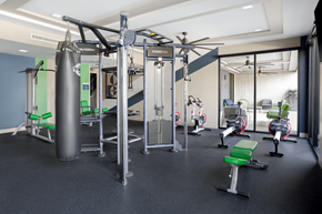 Henderson apartment for rent - A gym with a punching bag, weight machines and exercise bikes.