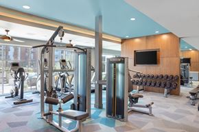 Phoenix apartment for rent - A gym with a variety of equipment including a squat rack, a bench, and a television.