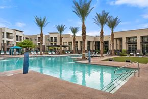 Tempe apartment for rent - A swimming pool surrounded by palm trees and lounge chairs.