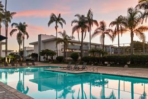San Diego apartment for rent - A swimming pool surrounded by palm trees and lounge chairs.