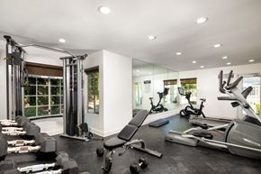 Los Angeles apartment for rent - A spacious gym with a variety of equipment including treadmills, weights, and exercise machines.