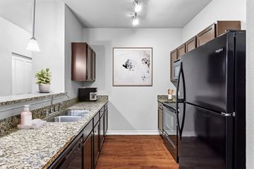 San Antonio apartment for rent - Lirio