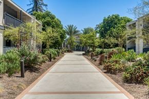 Lakewood apartment for rent - A long concrete pathway leads through a landscaped area with trees and shrubs on either side.