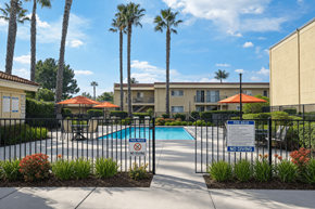 El Cajon apartment for rent - A pool surrounded by a black fence with a sign that says "No Diving".