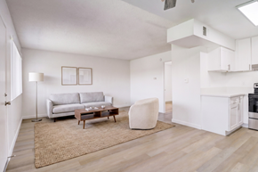 Ramona apartment for rent - A living room with a grey couch, a white chair, and a wooden coffee table.
