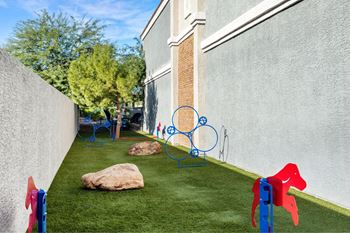 Fenced dog park