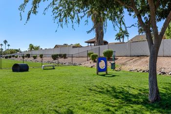 Dog park